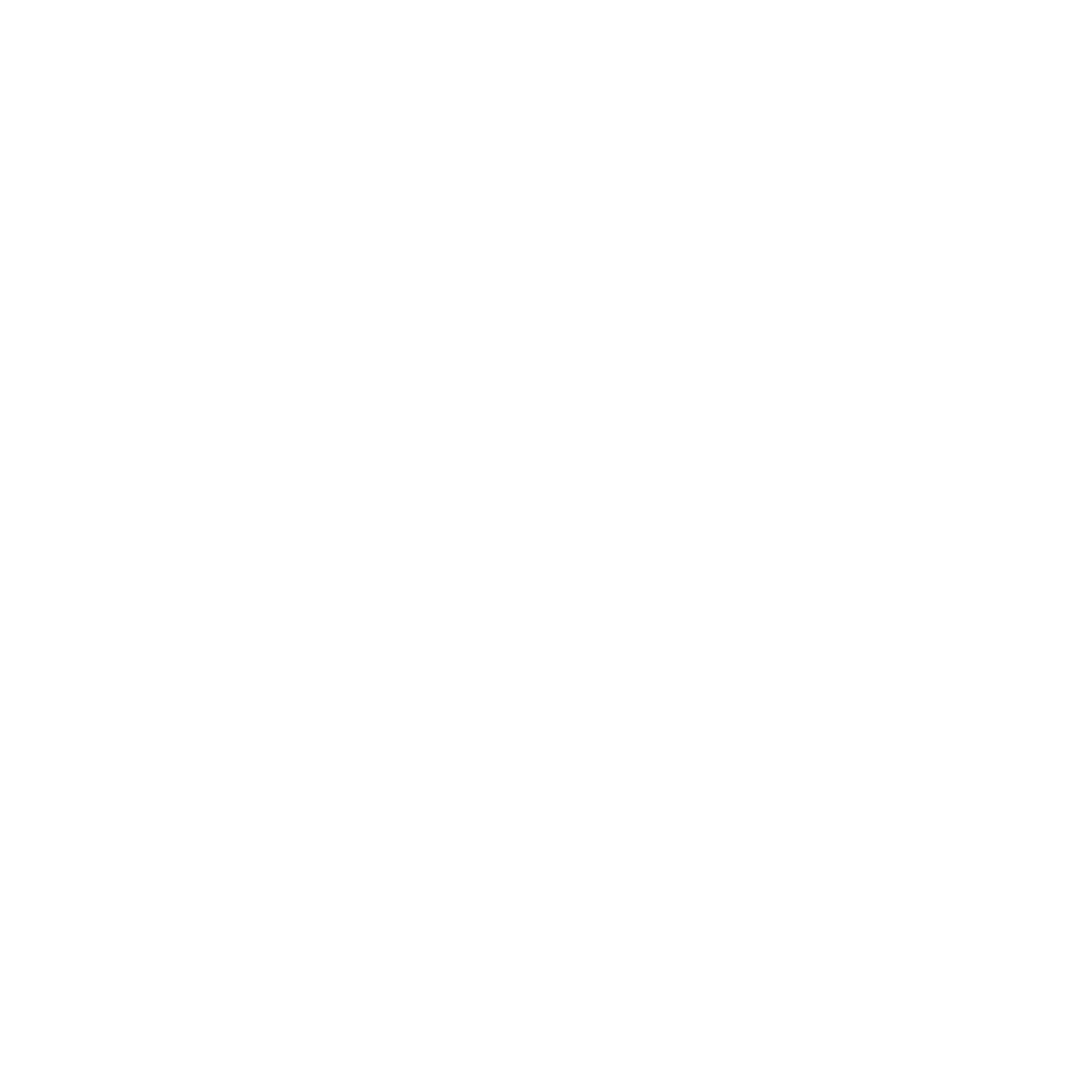 BudgetShield Logo